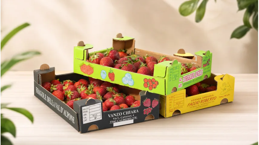 Scatola per ortofrutta