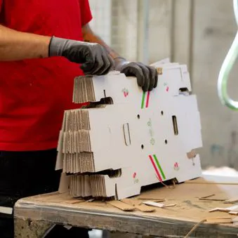 Produzione di imballaggi in cartone